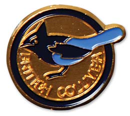 Pin, Steller's Jay